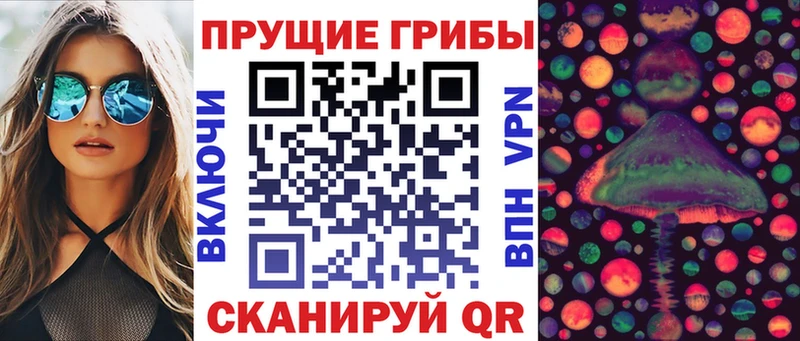 купить наркотики сайты  Ардон  blacksprut ТОР  Псилоцибиновые грибы прущие грибы 